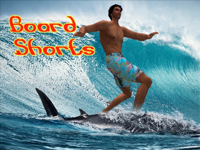 Mens Board Shorts