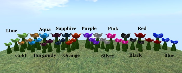 Stupidly expensive flowers 