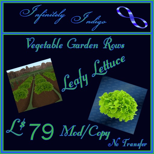 Garden Rows - Leafy Lettuce