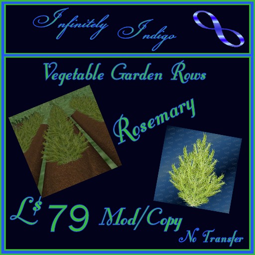 Garden Rows - Rosemary