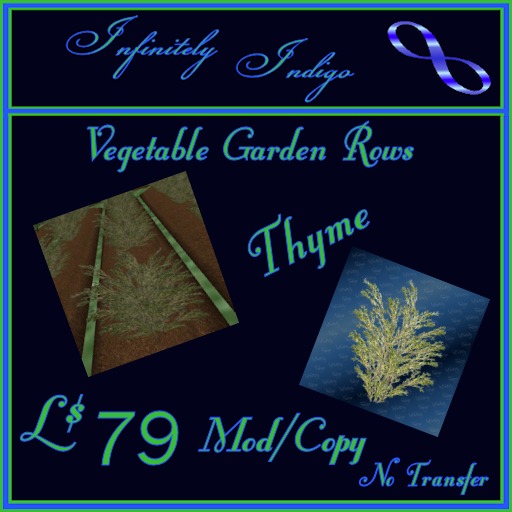 Garden Rows - Thyme