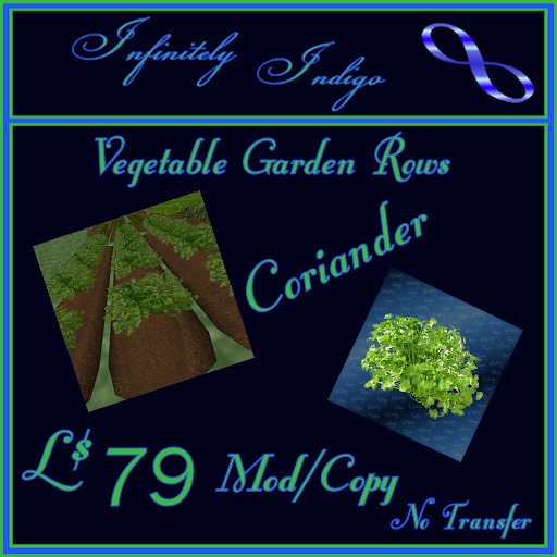 Garden Rows - Coriander