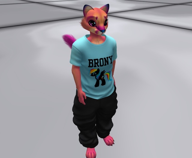 ARM - A Rigged Mesh - My Little Brony Tee!