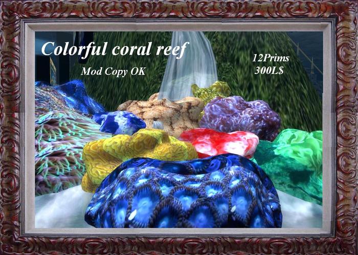 Colorful coral reef BOX