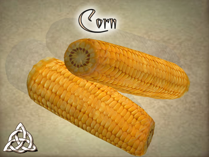 Wine Rack with Bottles b