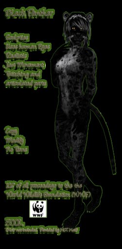 Black Panther Female (Boxed)