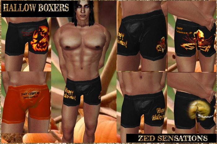 Zed Sensations*.Hallow Mens Boxers