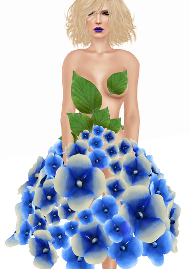 Hydrangea Blue 