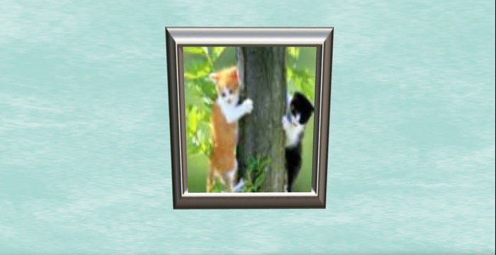 cat1 picture