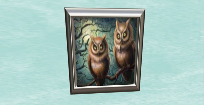 owl2 picture