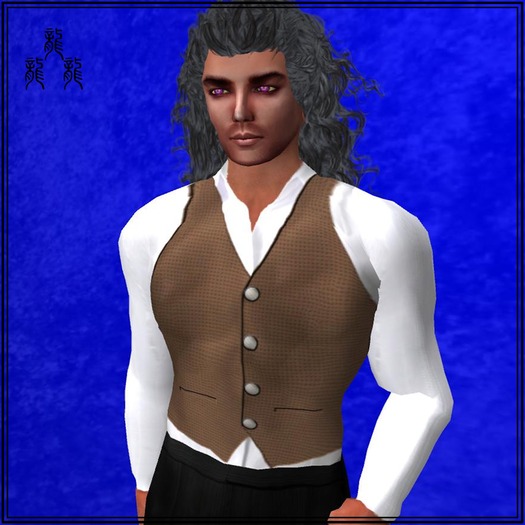 BrownSatin-vest-Dragons'v