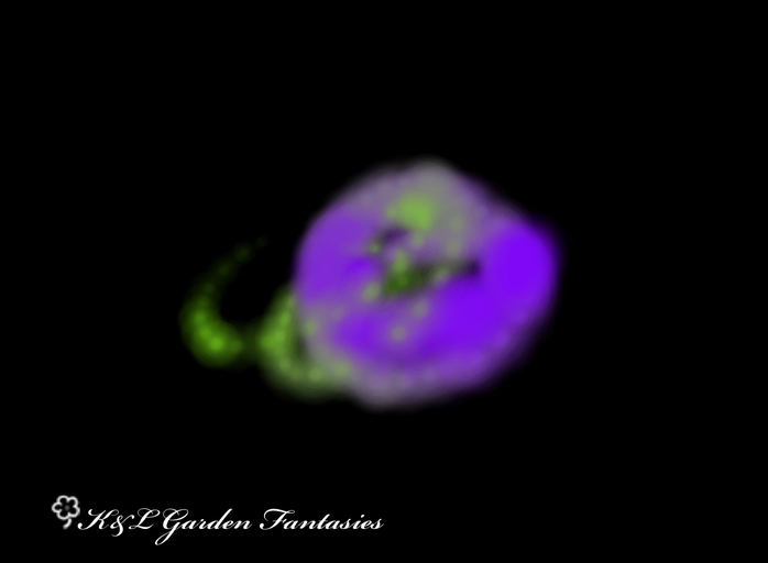 ~K&L~ Swamp Lights FX - particle effect orb for your garden