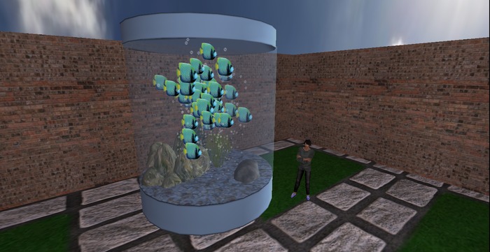 ~FT~ big aquarium_box