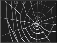 T-3D Creations [ Spider Web ] MESH - Full Perm -