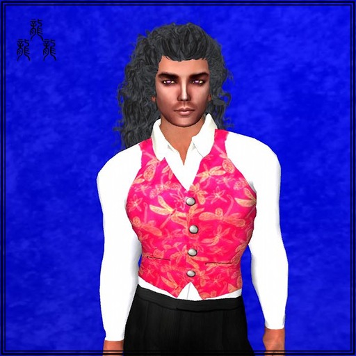 Dragonfly-vest-Dragons' Vest