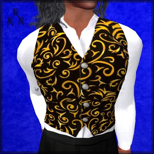 Black&Gold-vest-Dragons'