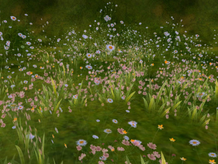 spring field grass pink