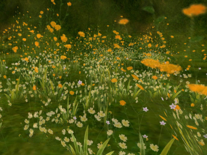 spring field grass orange