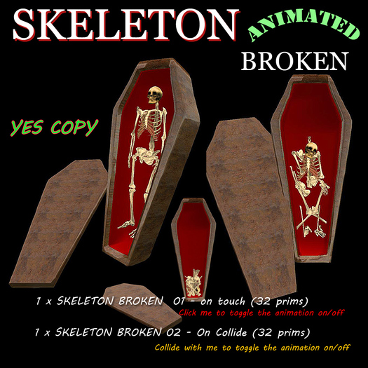 SKELETON BROKEN -box