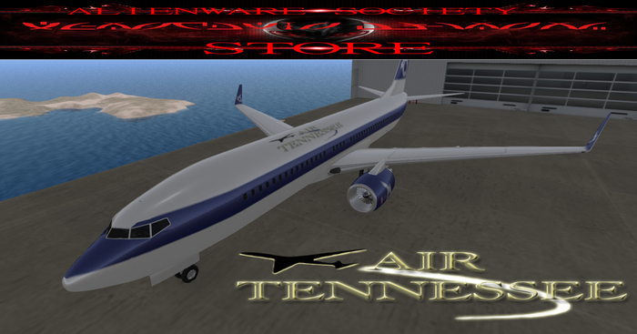 Air Tennessee paintjob