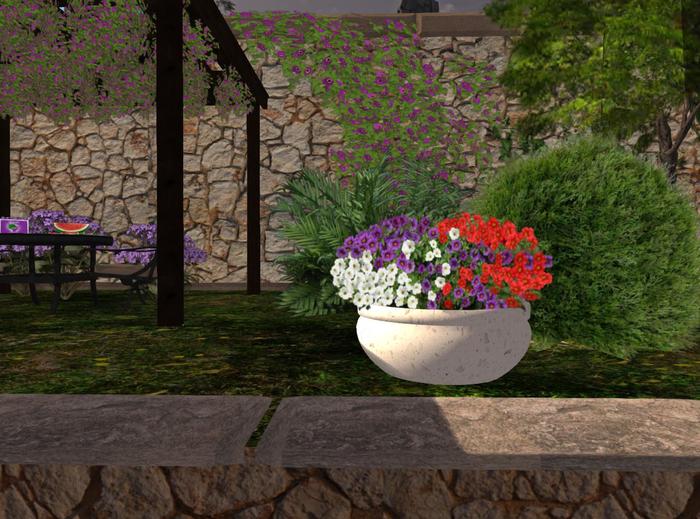 Petunias multicolor in low pot