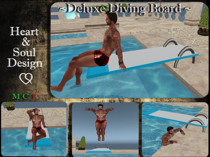 H&S ~ Deluxe Diving Board~ BOX