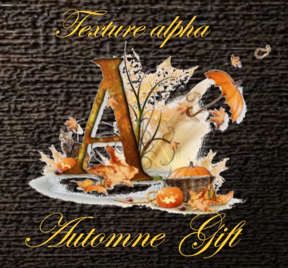 automne texture