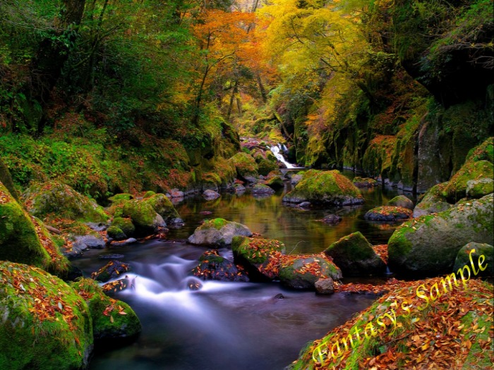 Amazing Autumn Texture 5 ~ Full Perm 1024 x 1024  High Definition ~* Nature's Best - ** Fantasy's **