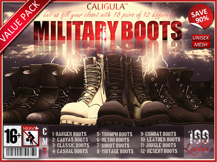 THE MILITARY BOOTS