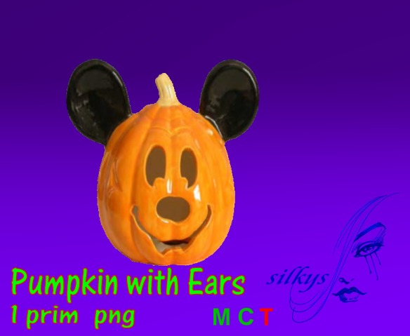 Pumkin wearing Ears!!