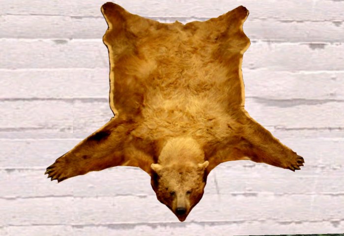 Rug Bear Skin 1