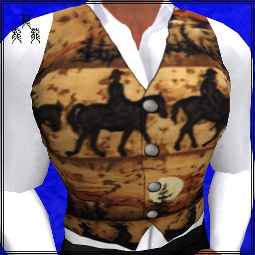 WesternSunset-vest-Dragons'