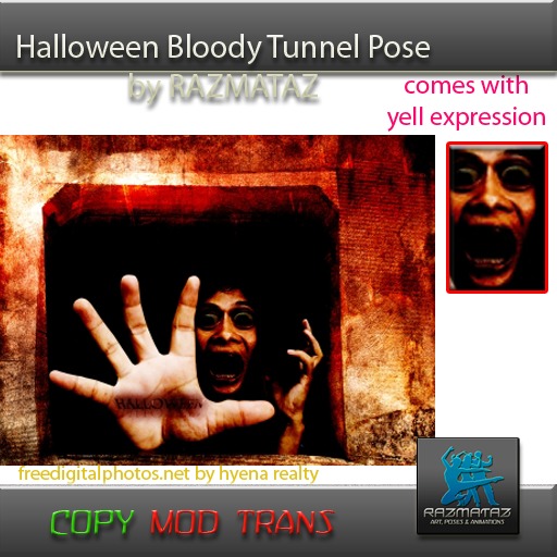 Halloween Bloody Tunnel Pose (box)