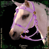 @CT@ Hungarian Bridle WHM-L BOXED Pastels