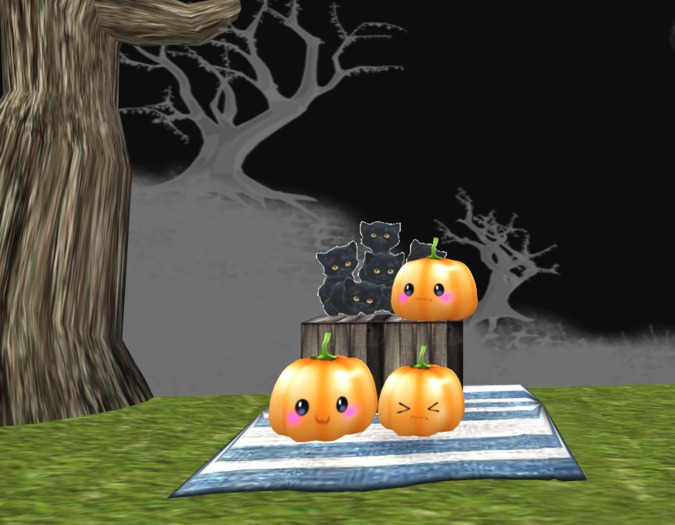 cute cat pumpkin scene