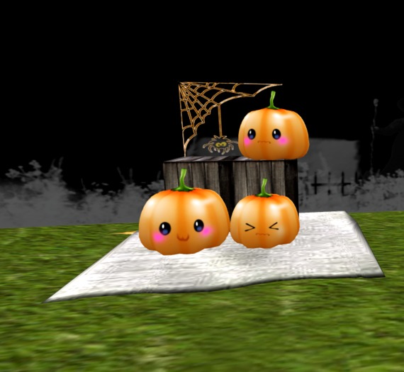 cute cat pumpkin scene