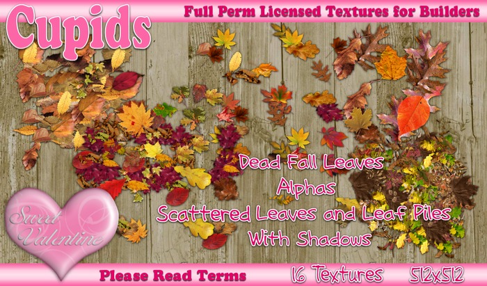 *Cupids Textures * 16 DEAD FALL LEAVES 