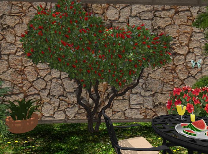 HIBISCUS Wall-climbing Tree RED (mk)