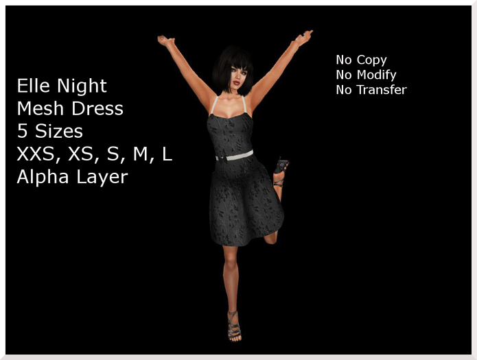 Elle Night Mesh Dress