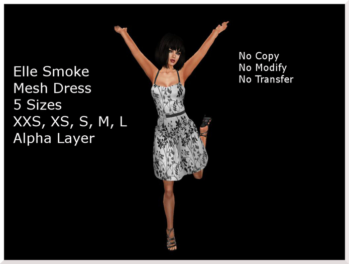 Elle Smoke Mesh Dress