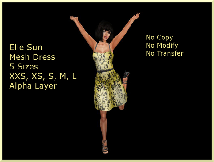 Elle Sun Mesh Dress