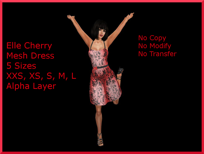 Elle Cherry Mesh Dress