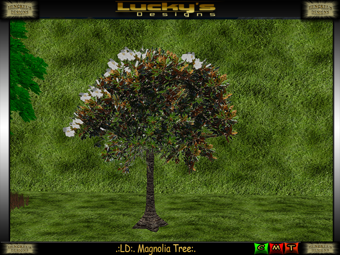 .:LD:. Magnolia Tree:. 