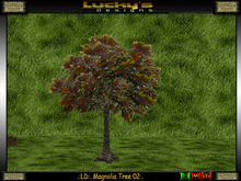 .:LD:. Magnolia Tree 02:. 