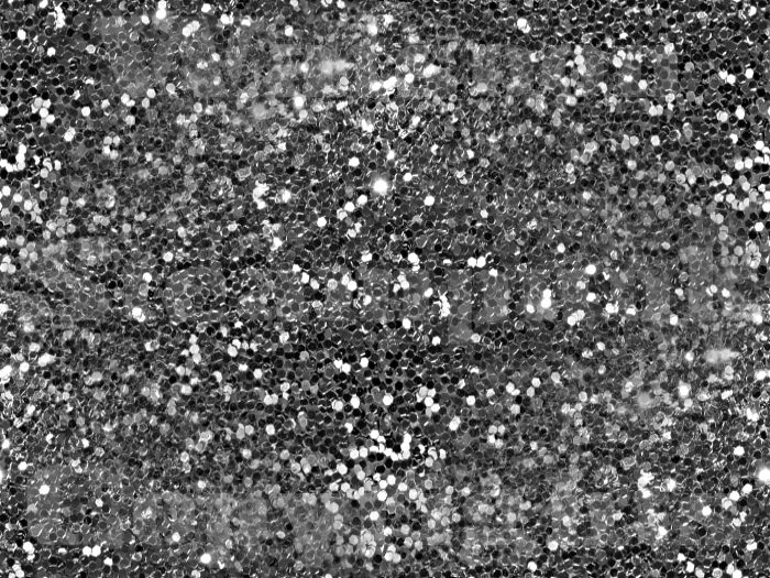 Tiled Glitter sequins 2 Silver  FULL PERMS single texture