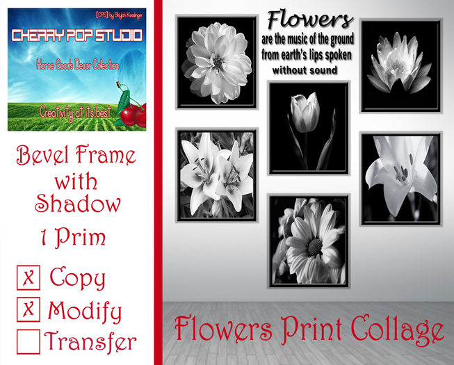 [CPS] Flowers Print Collage BOXED