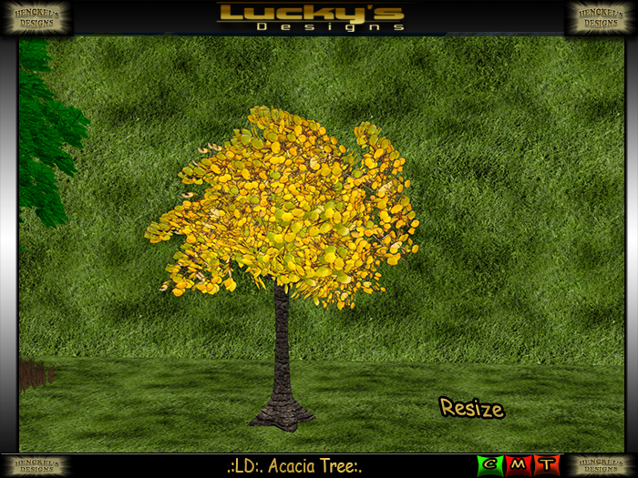 .:LD:. Acacea Tree:. 