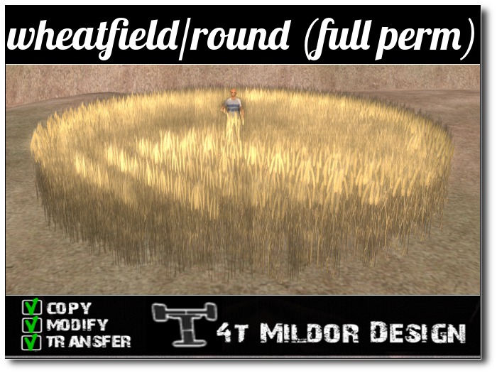 wheatfield