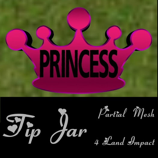 Princess Crown TipJar