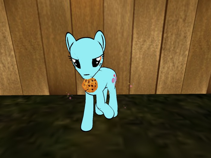 Pony Cookie